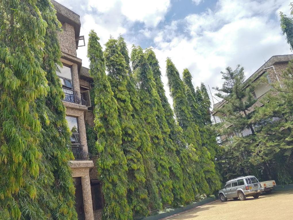 One Bedroom Apartment